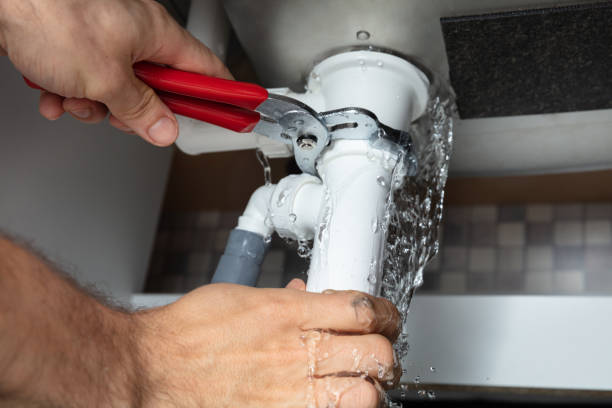 Best Professional water damage repair  in St Marys, KS