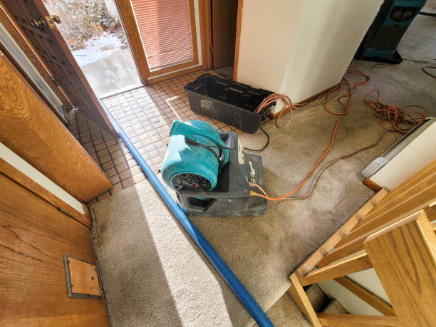 Carpet water damage restoration in St Marys, KS
