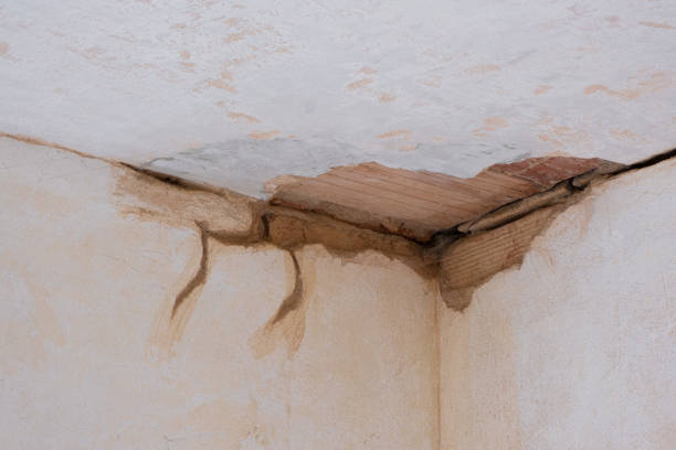 Best Water damage contractors near me  in St Marys, KS