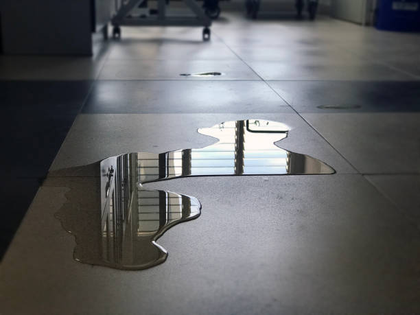 Best 24/7 water damage repair  in St Marys, KS