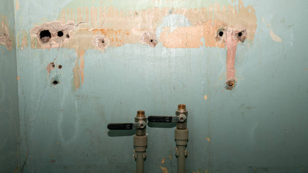 Best Ceiling water damage repair  in St Marys, KS