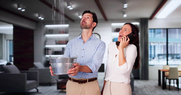 Best Sewage cleanup and water damage restoration  in St Marys, KS